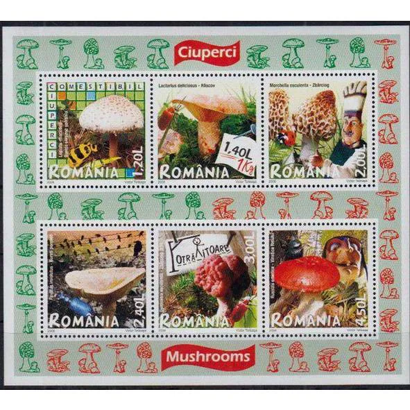 شیت قارچ چاپ رومانی  سال 2008