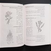 گیاهان