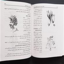 گیاهان