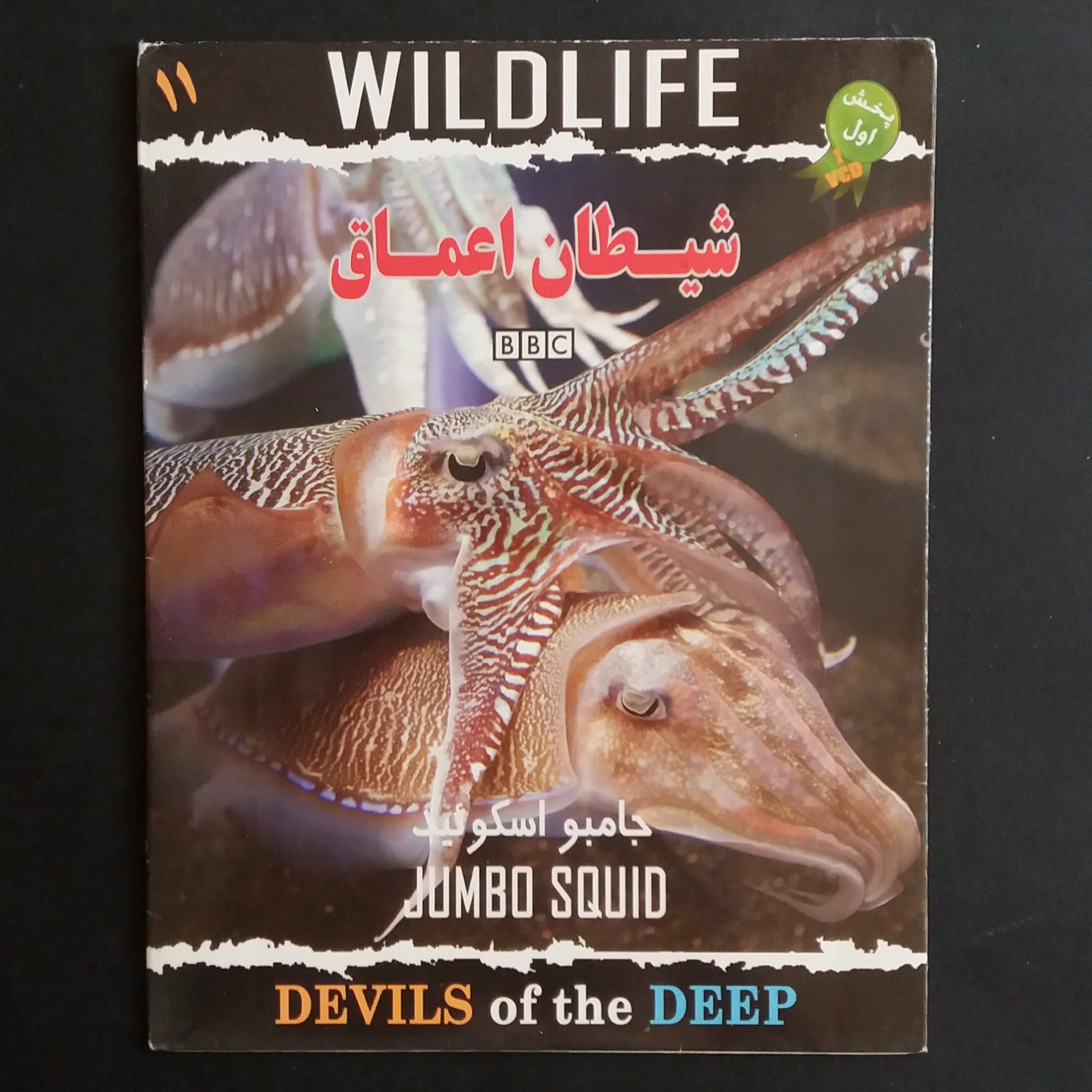 فیلم مستند شیطان اعماق ، جامبو اسکوئید (BBC)