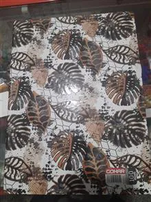 کلاسور