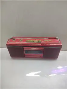 ظبط