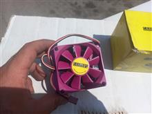 فن