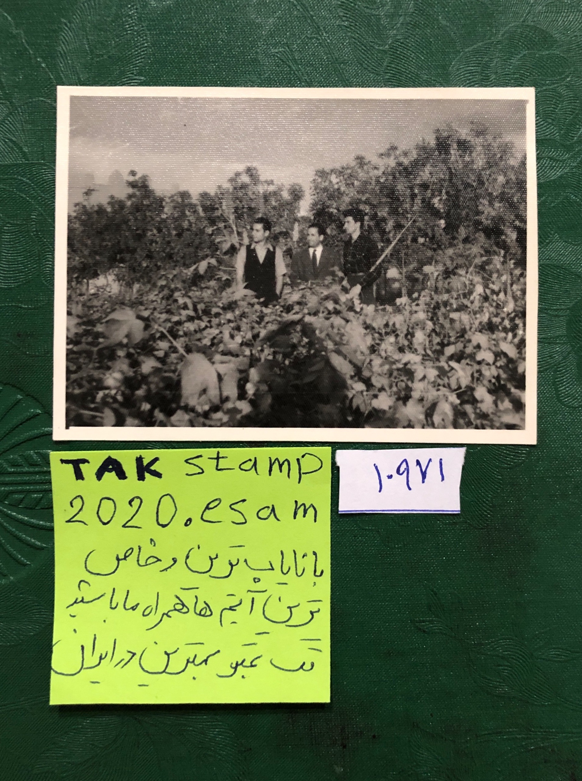 عکس جالب سفر بشردوست به روستا بابلسر1329