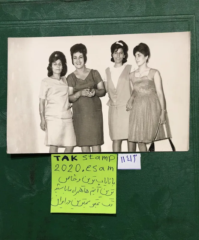 عکس اساتید خانم دانشگاه تبریز عکاس مخصوص دانشگاه