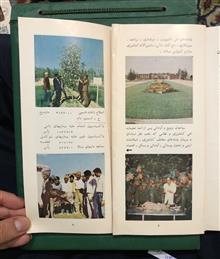 بروشور