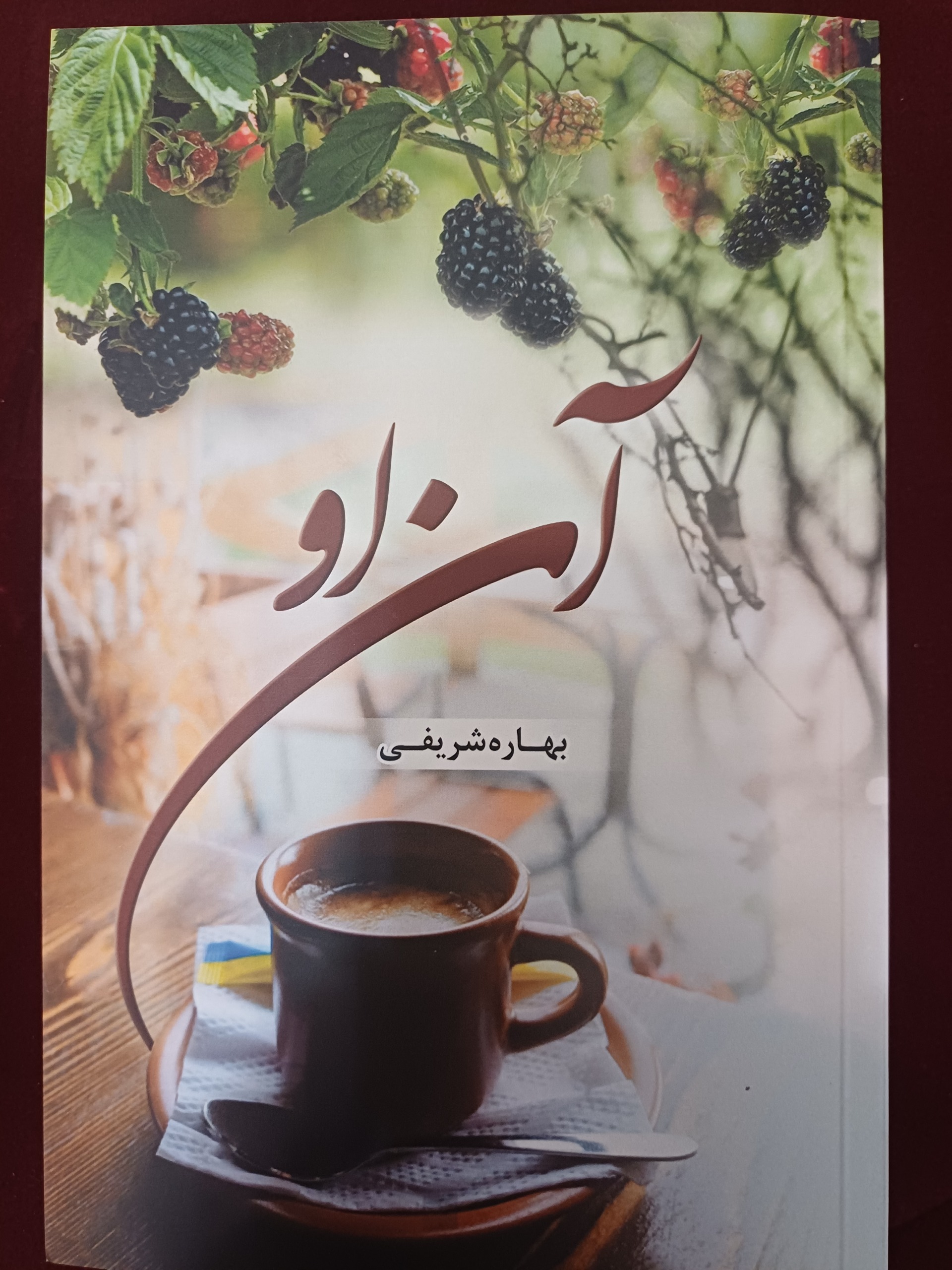کتاب رمان ( آن او )