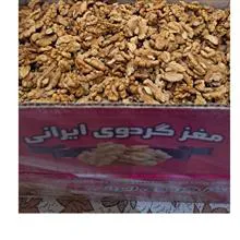 مغز