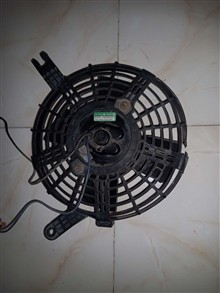 فن