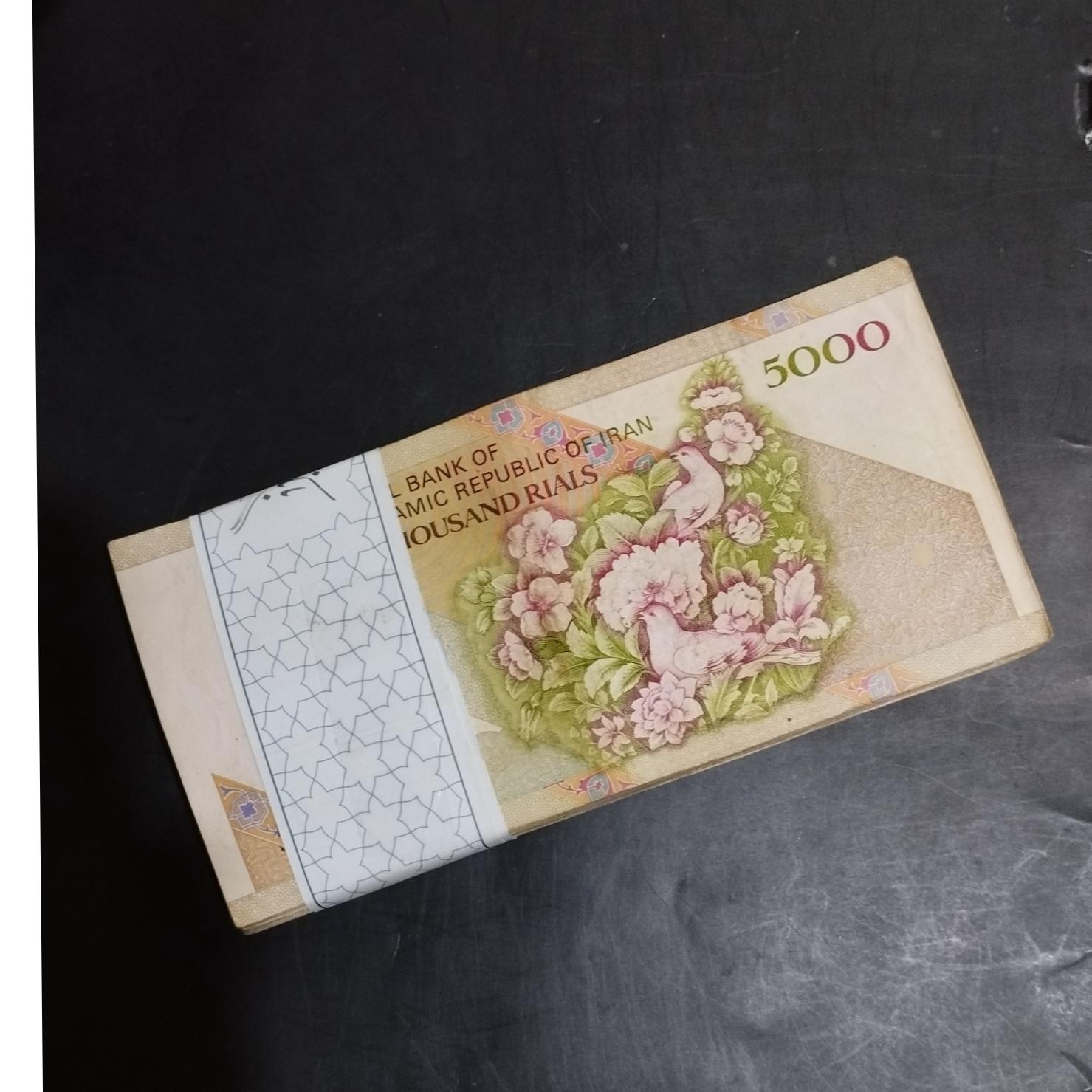 صد برگ گل بلبل کیفیت خوب