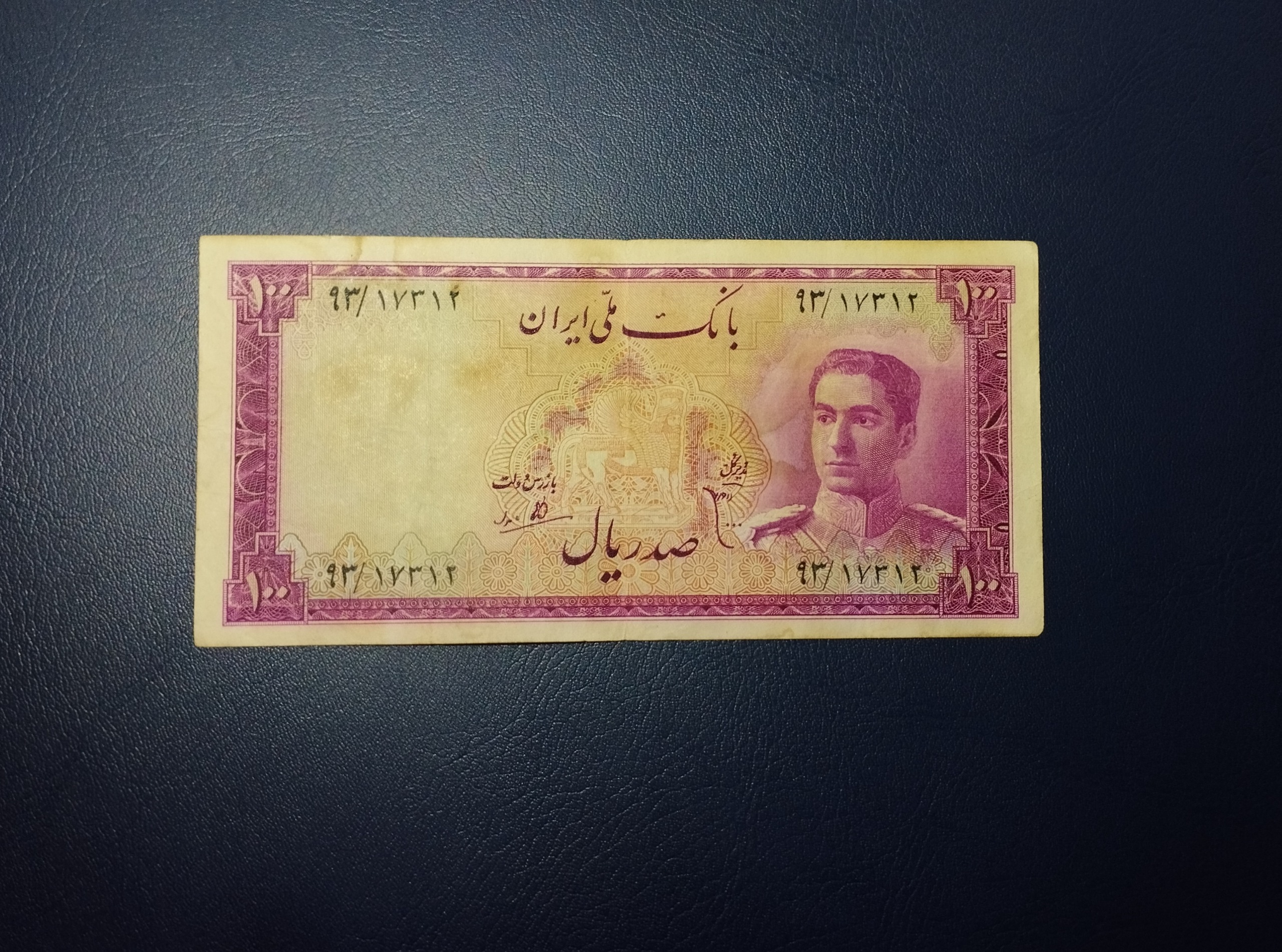 صدی گلی بکر عالی و ضخیم