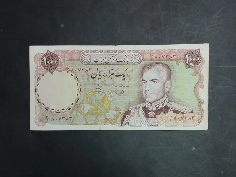 صد تومانی شانه پهن