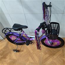 دوچرخه