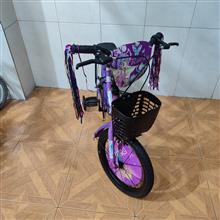 دوچرخه