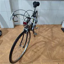 دوچرخ