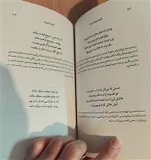 گزیده