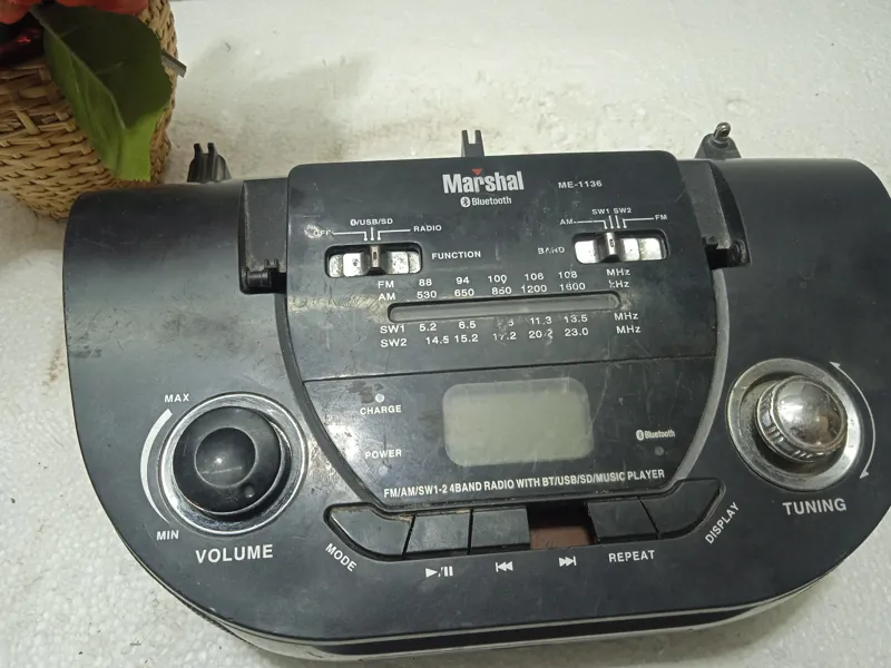 رادیو پخش فلش خور مارشال