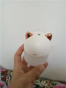 دستگاه