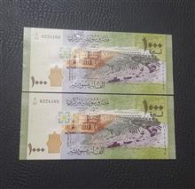 ست