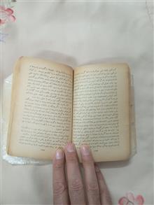 زندانی