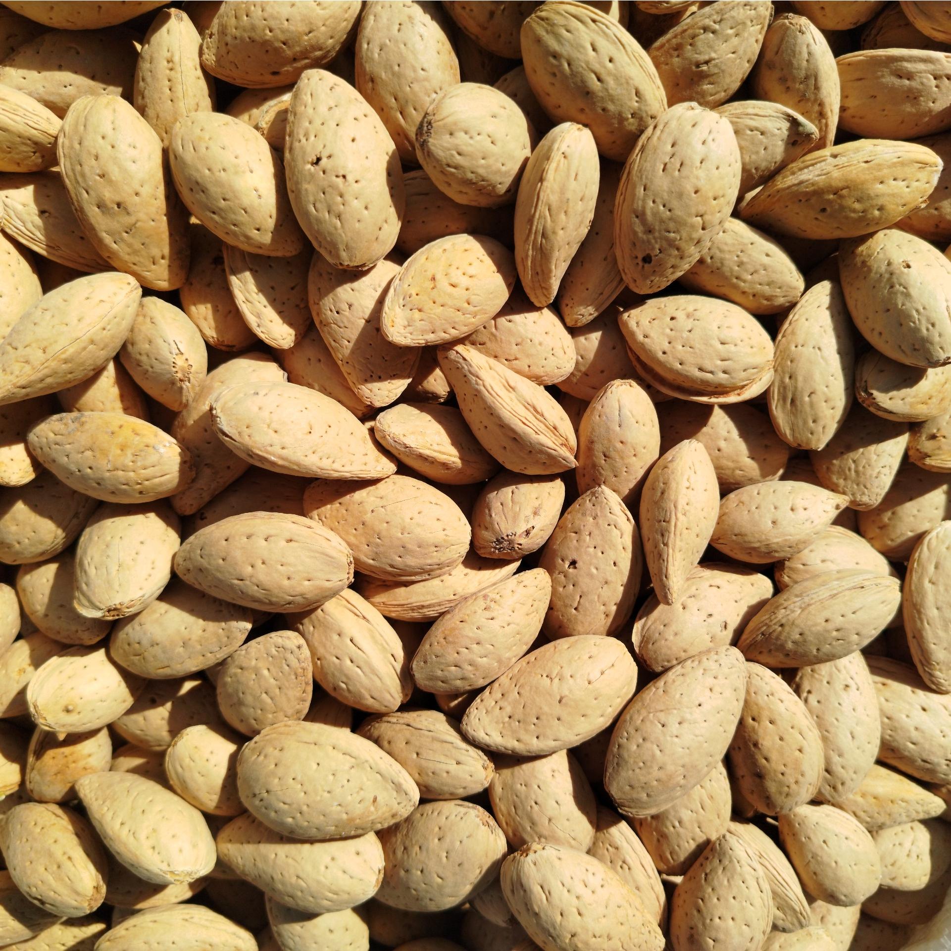 بادام درختی شیرین سایز متوسط 5 کیلوگرم