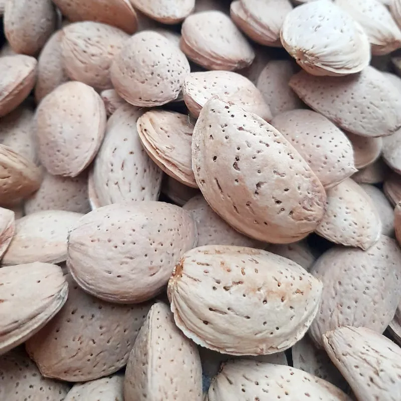 بادام شیرین و درشت کردستان 3 کیلویی