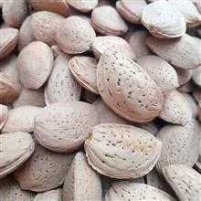 بادام