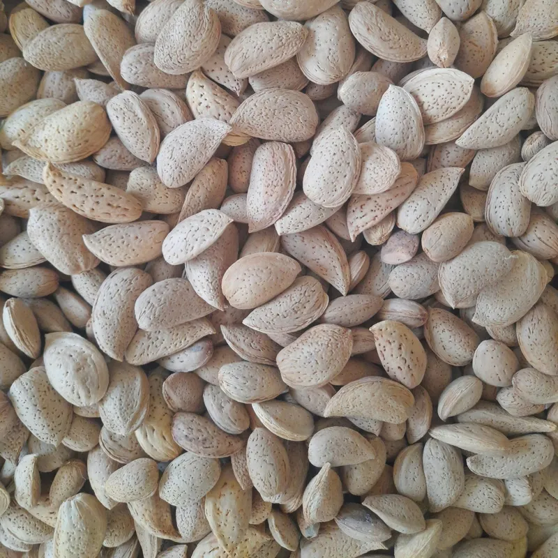 بادام درختی شیرین سایز متوسط 5 کیلوگرم