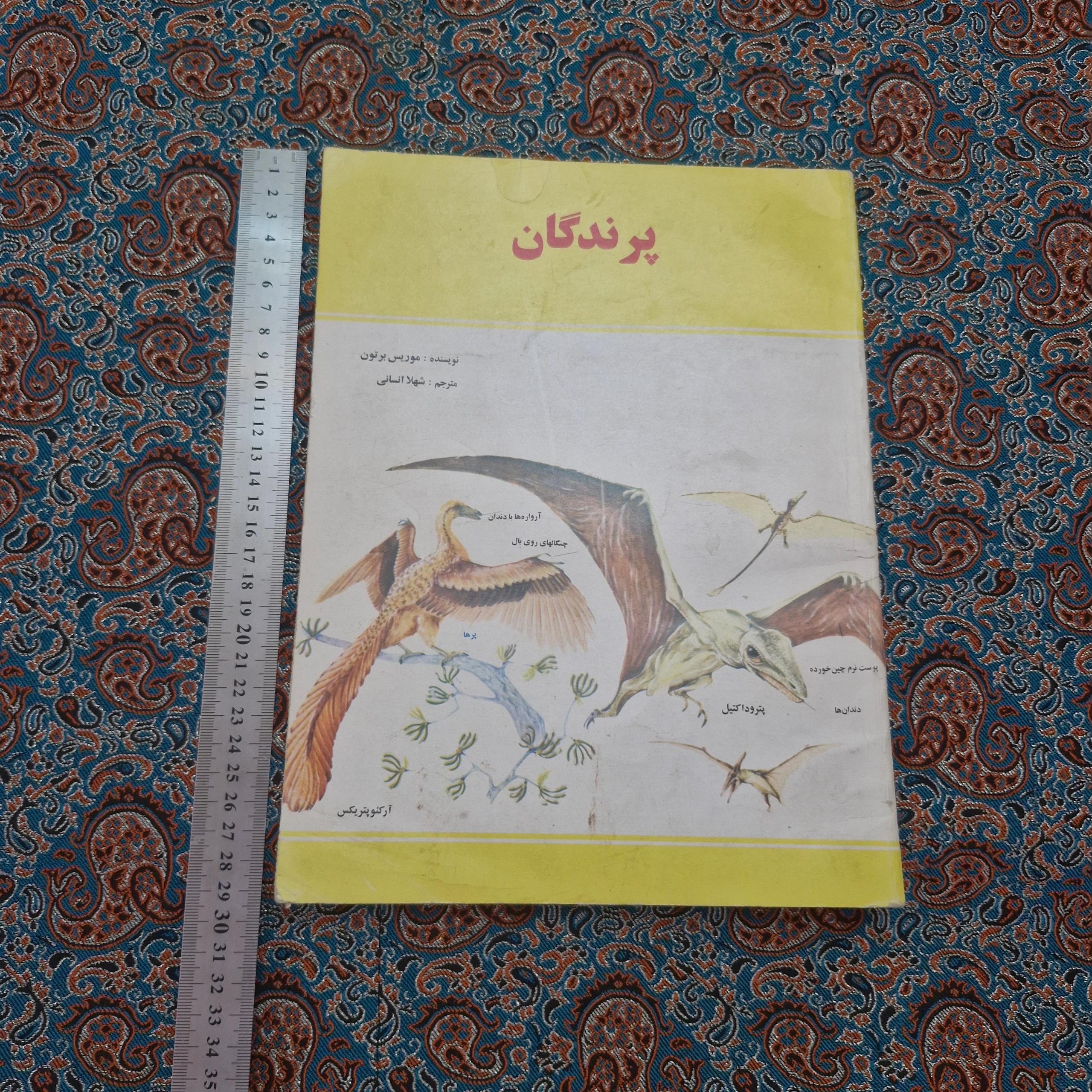 پرندگان 1372 شهلا انسانی