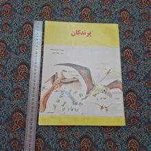 پرندگان