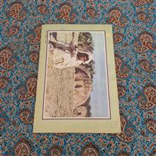 کیهان