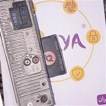 ضبط