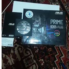 کارتن