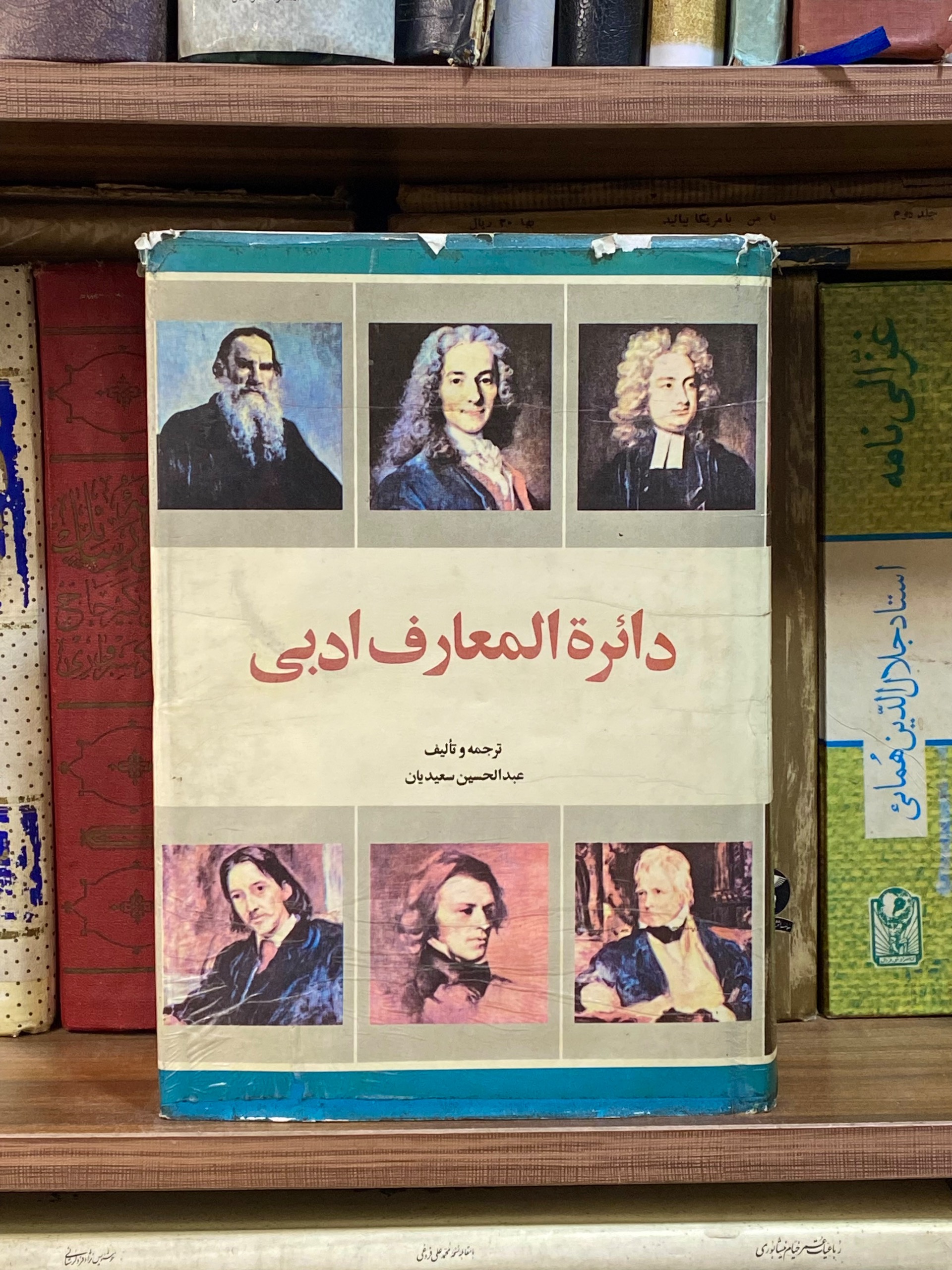 دایرة المعارف ادبی