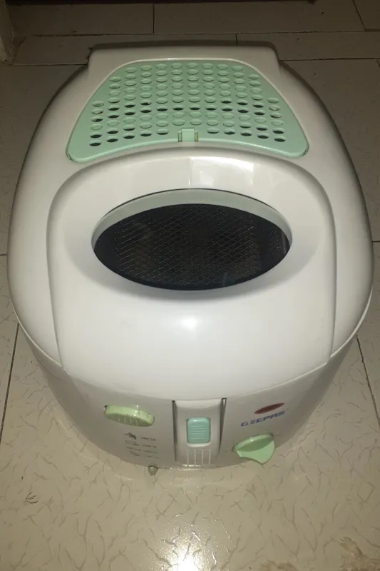 سرخکن جی پاس 2000W