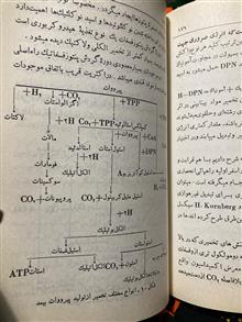 منشا