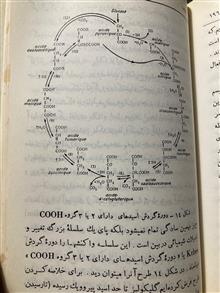 منشا