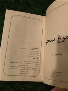 مرغ