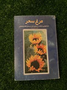 مرغ