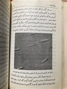 منشا