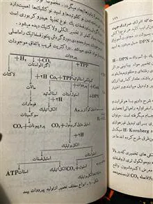 منشا