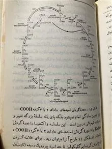 منشا