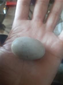گوهر