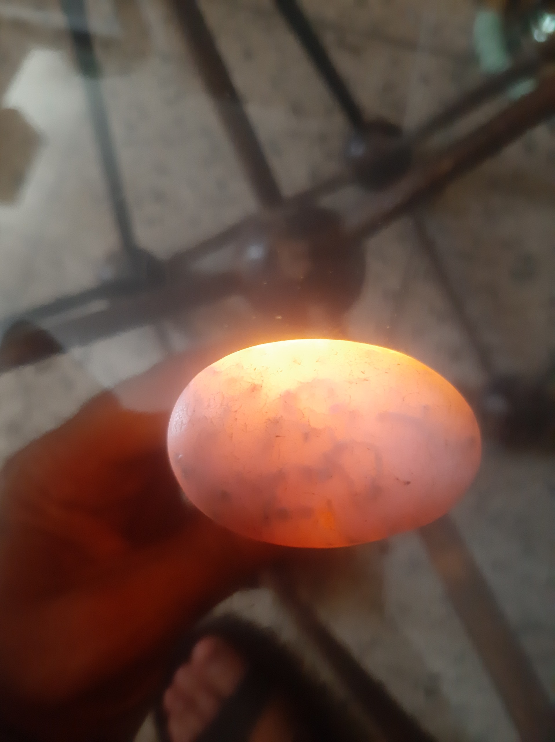 گوهر زیبای ناب