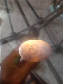 گوهر
