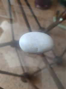 گوهر