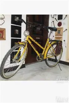 دوچرخه