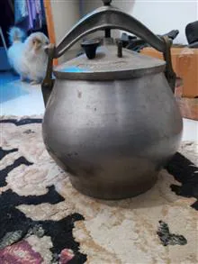 زودپزاخرین