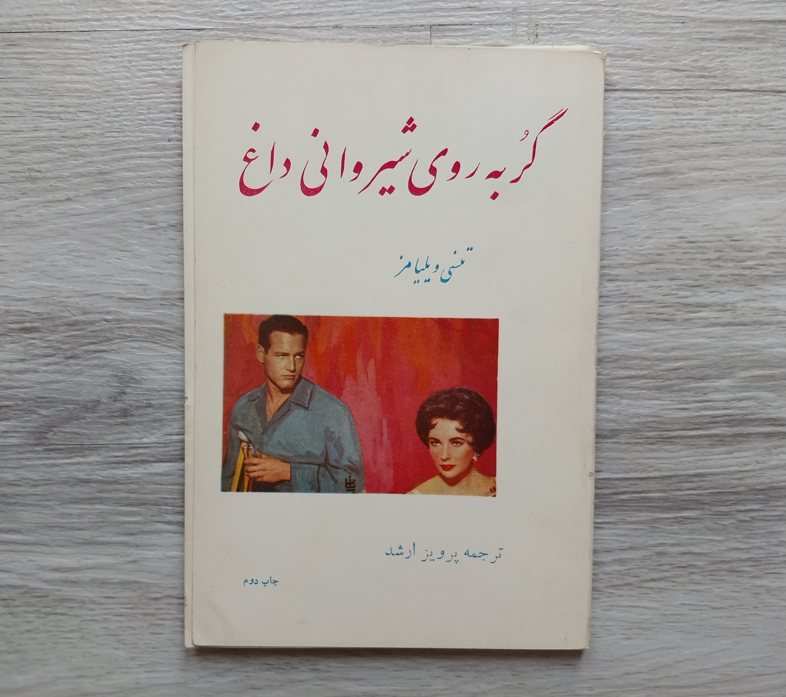 گربه روی شیروانی داغ