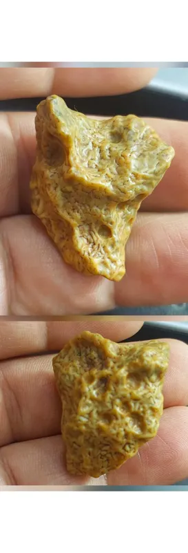 زوعه مار اصل هندی